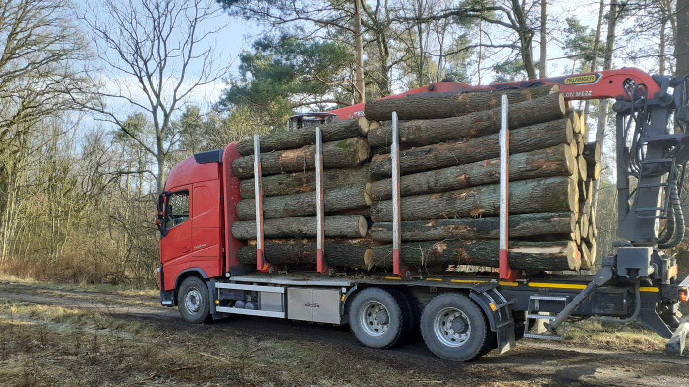 Abtransport und Logistik-Forstdienste Klausnitzer